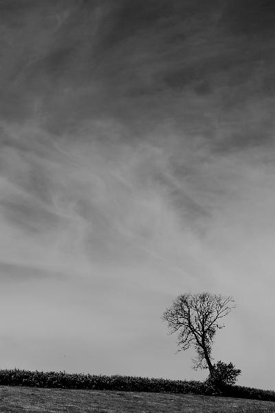 2018_06_23_LAC DE CHAUMECON  (0032).jpg - Au lac de Chaumeçon, Morvan (Juin 2018)